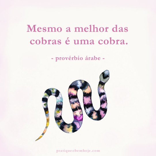 Mesmo a melhor das cobras é uma cobra