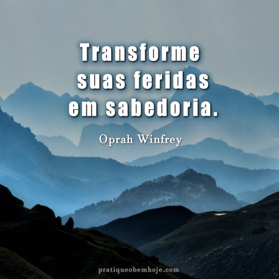 Transforme suas feridas em sabedoria