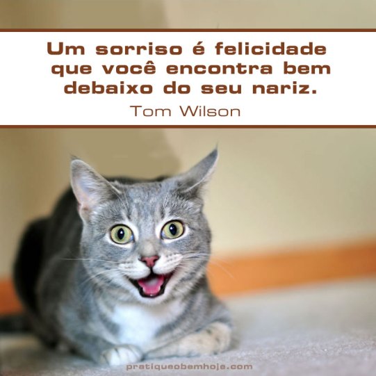 Um sorriso é felicidade que você encontra bem debaixo do seu nariz