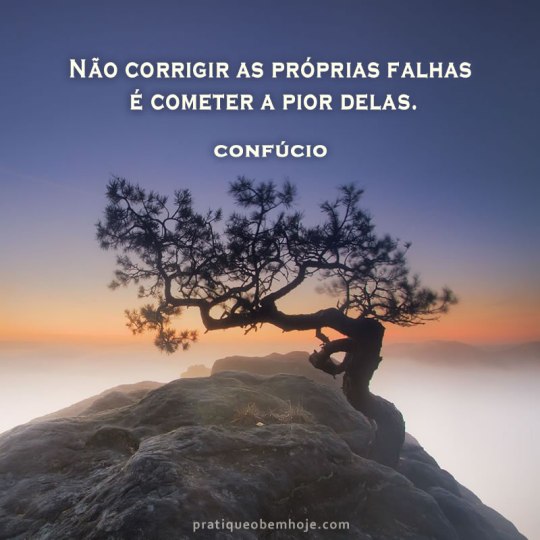 Não corrigir as próprias falhas é cometer a pior delas