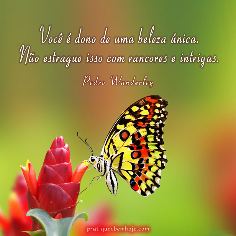 Você é dono de uma beleza única