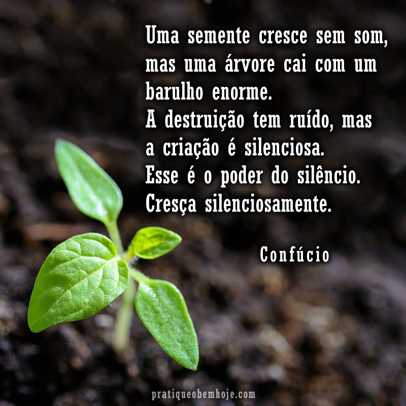 Uma semente cresce sem som