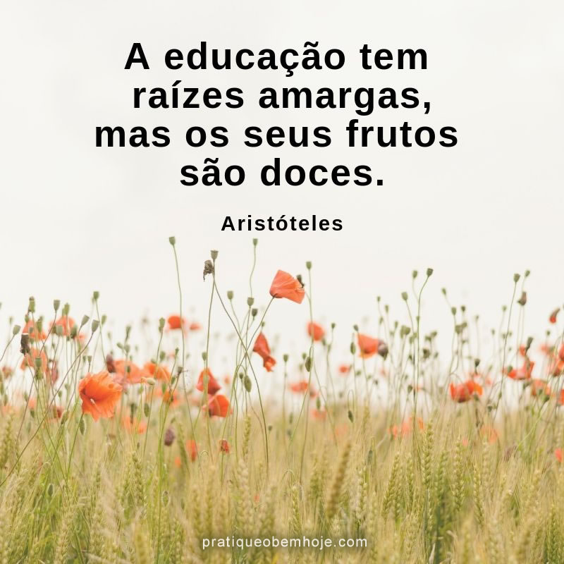 A educação tem raízes amargas