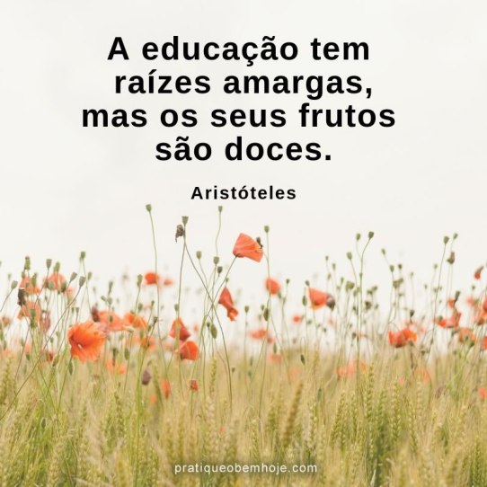A educação tem raízes amargas