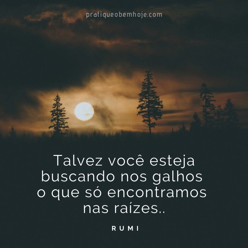 Talvez você esteja buscando nos galhos o que só encontramos nas raízes...jpg