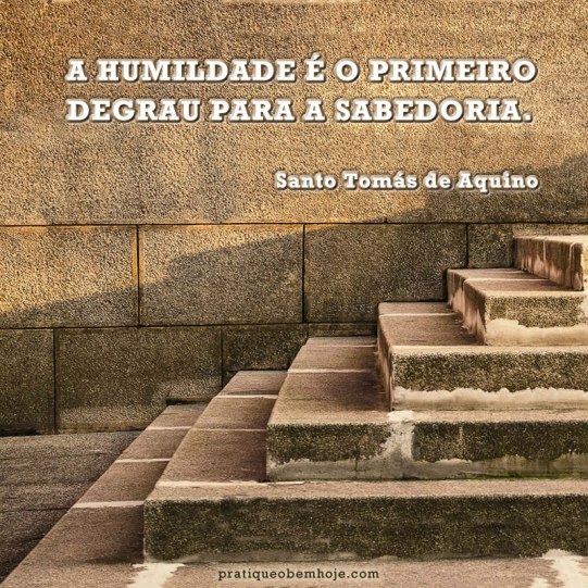 A humildade é o primeiro degrau para a sabedoria