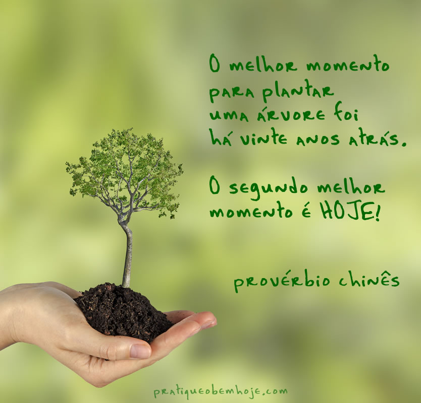 O melhor momento para plantar uma árvore